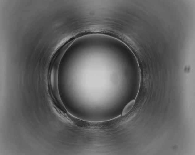 X0000091570530200708201147