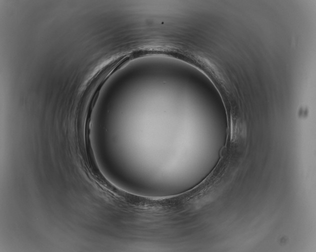 X0000091570531200708201147