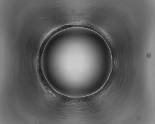X0000091570532200708201147