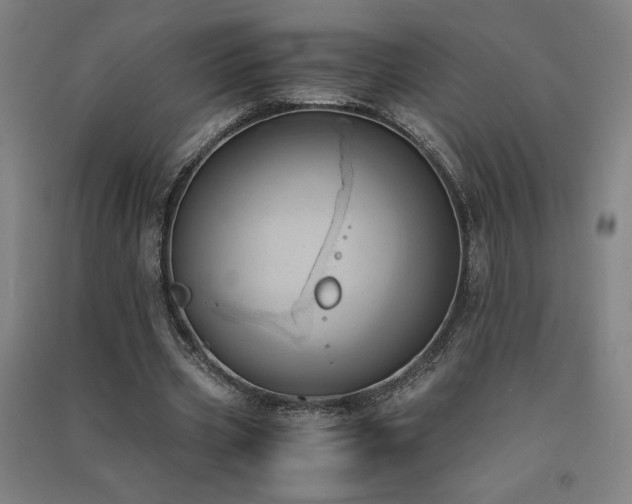 X0000091570533200708201147