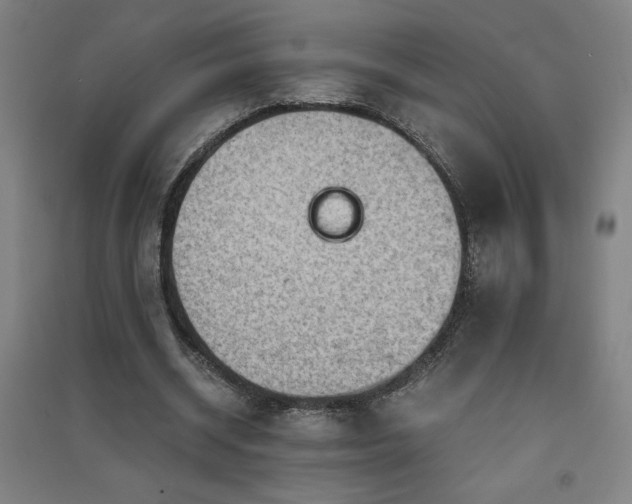 X0000091570534200708201147