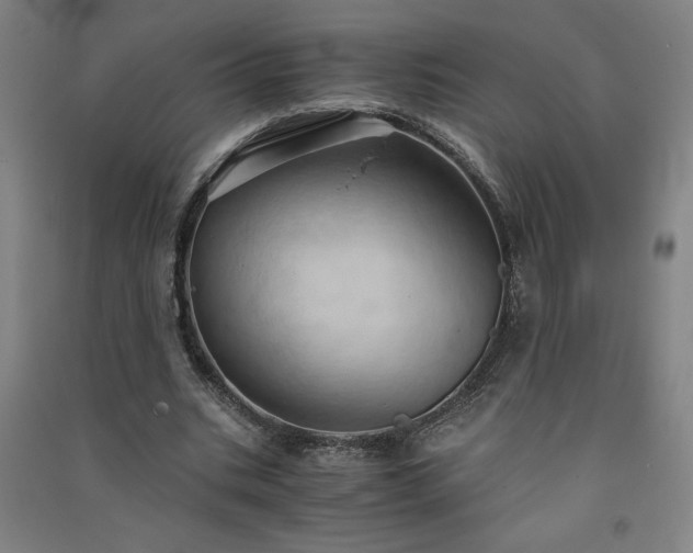 X0000091570535200708201147