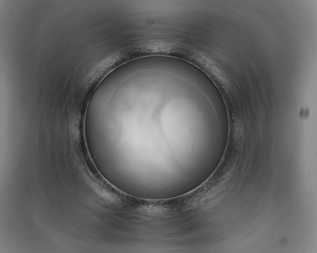 X0000091570537200708201148