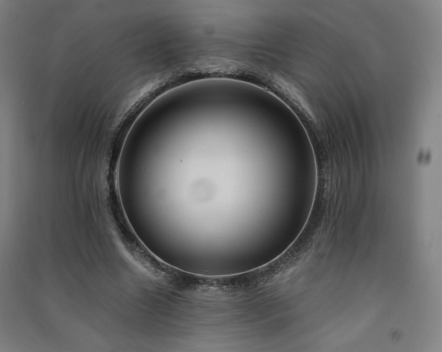X0000091570538200708201148
