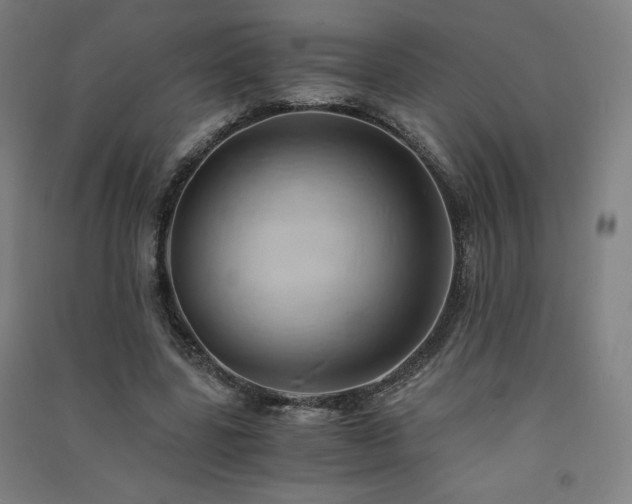 X0000091570539200708201148