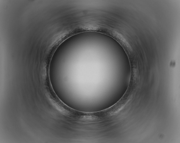 X0000091570541200708201148