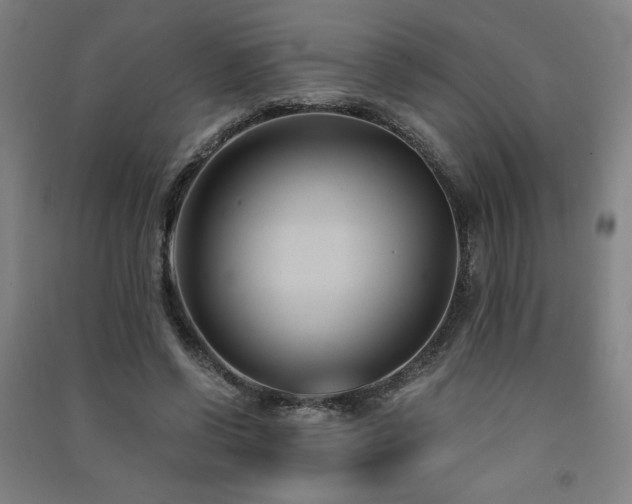 X0000091570542200708201148
