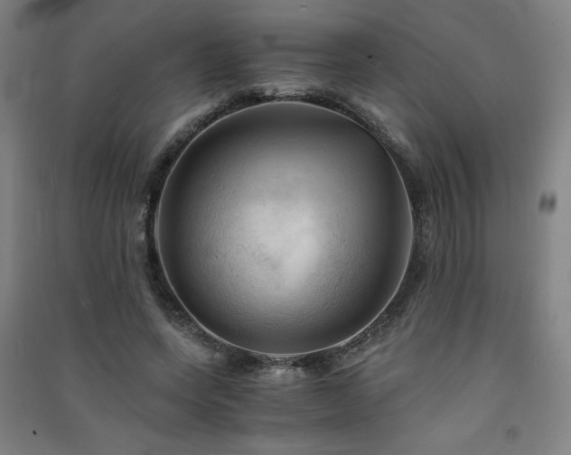 X0000091570543200708201148