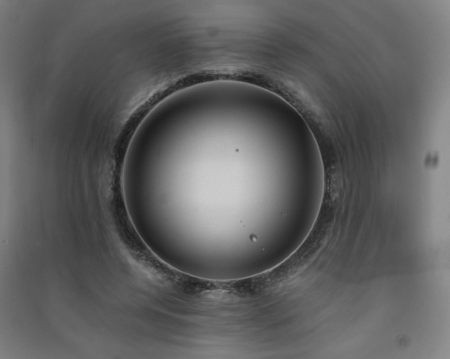 X0000091570544200708201148