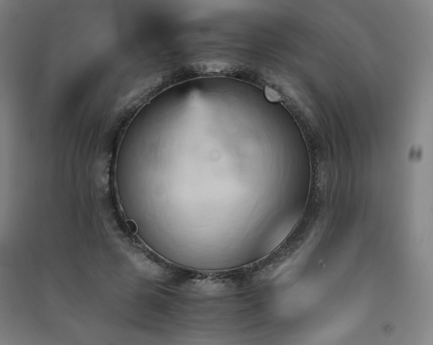 X0000091570545200708201148