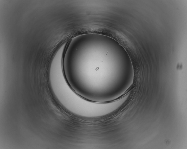 X0000091570546200708201148