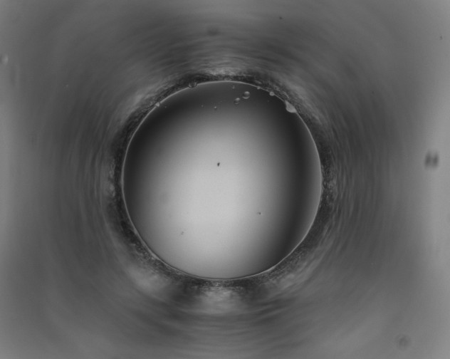 X0000091570547200708201148