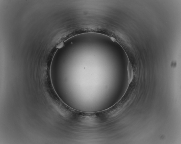 X0000091570548200708201148