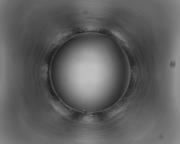 X0000091570550200708201148