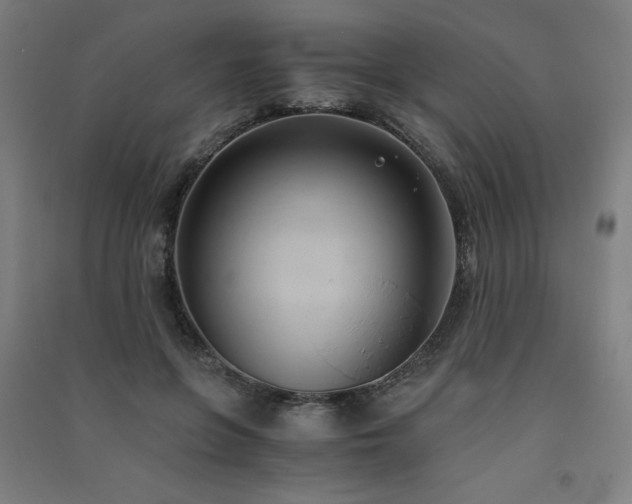 X0000091570551200708201148
