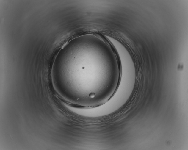 X0000091570552200708201148