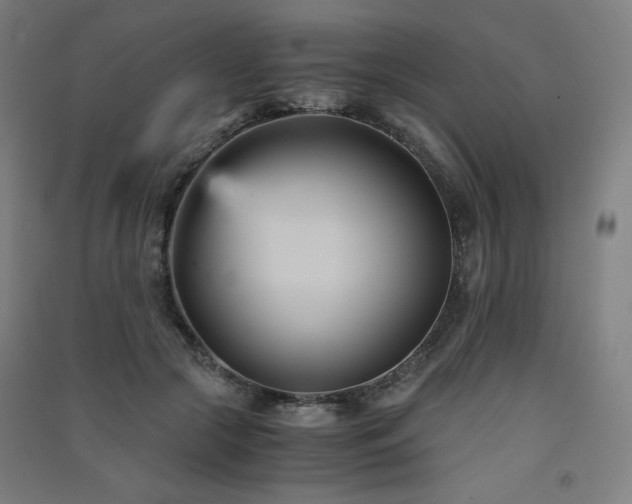 X0000091570553200708201148
