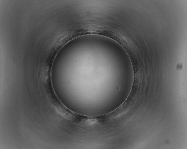 X0000091570554200708201148
