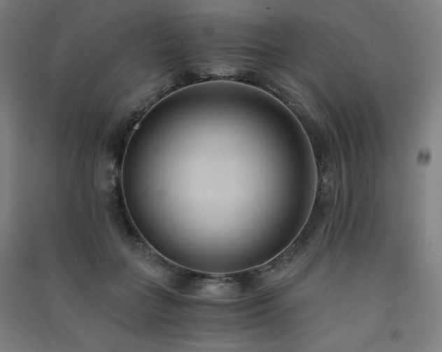X0000091570555200708201148