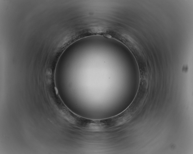 X0000091570556200708201148