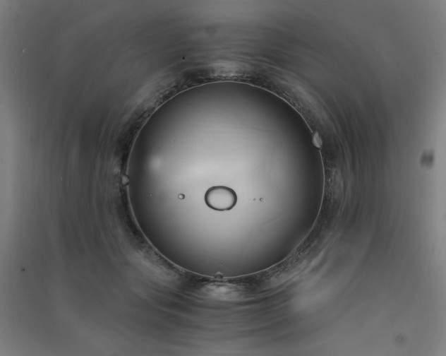 X0000091570557200708201148