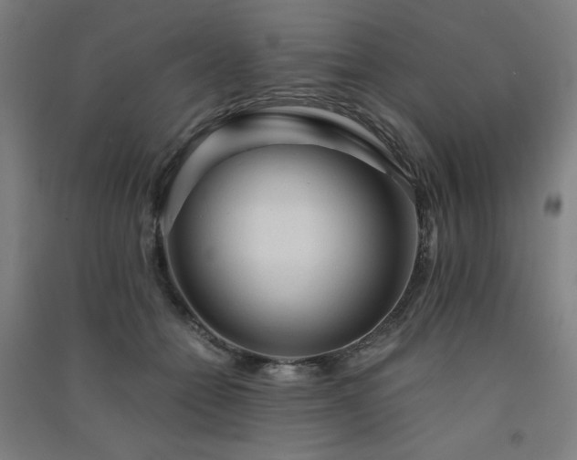 X0000091570558200708201148
