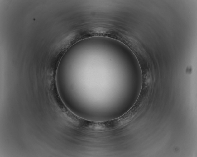 X0000091570559200708201148