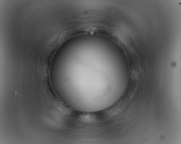 X0000091570561200708201148