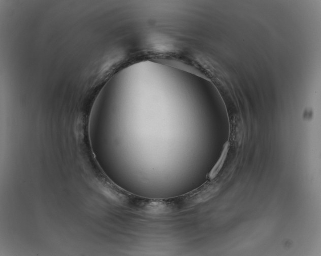 X0000091570562200708201148