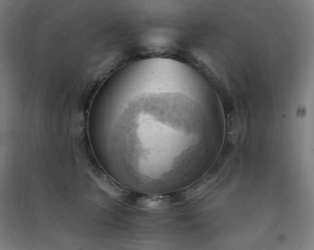 X0000091570563200708201148