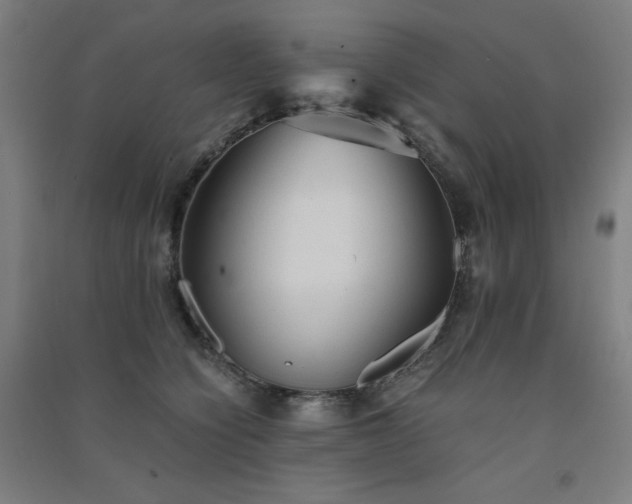 X0000091570564200708201148