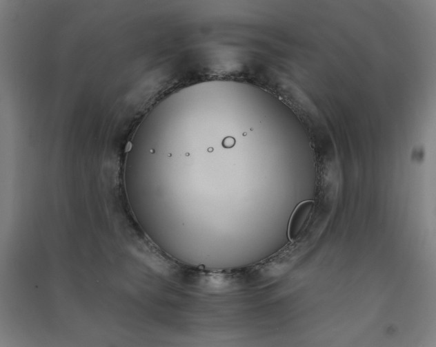 X0000091570565200708201148