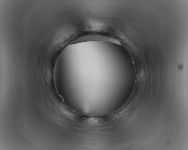 X0000091570566200708201148