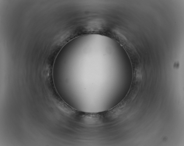 X0000091570567200708201148