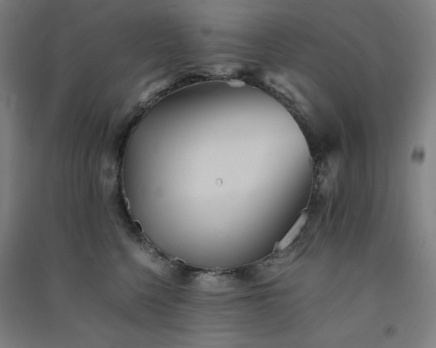 X0000091570568200708201148
