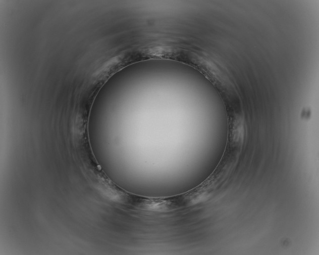 X0000091570569200708201148