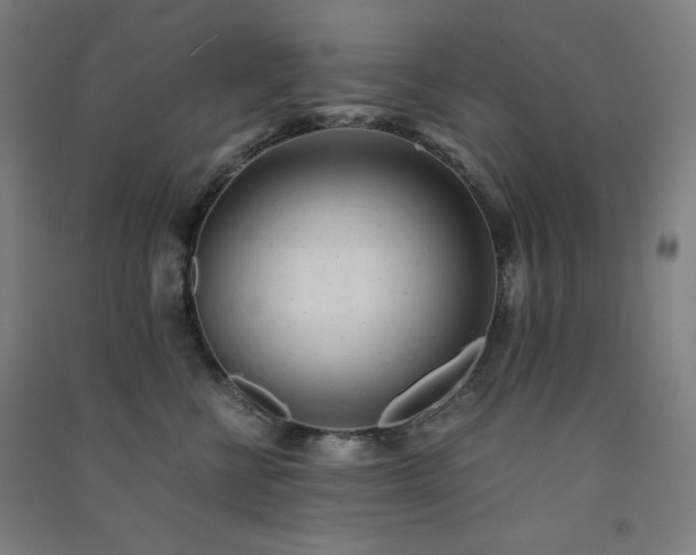 X0000091570570200708201148