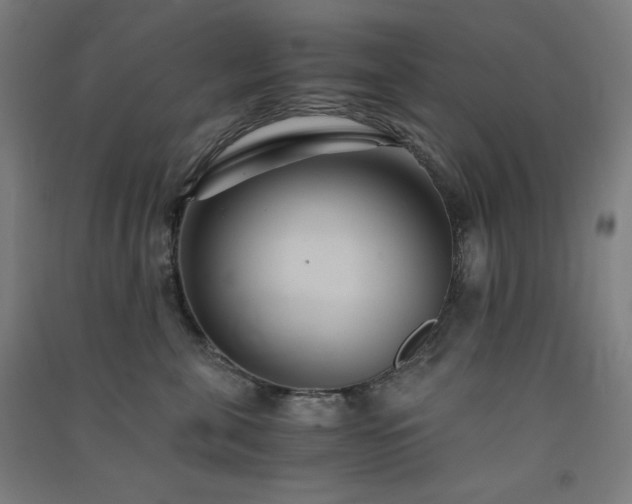 X0000091570571200708201148
