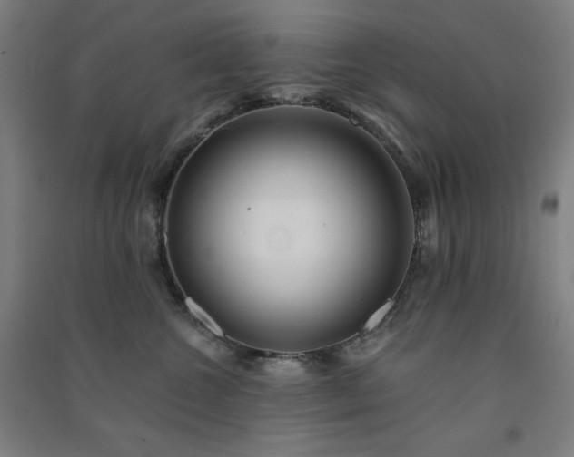 X0000091570572200708201148