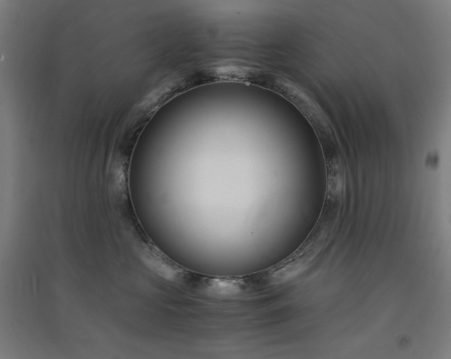 X0000091570573200708201148