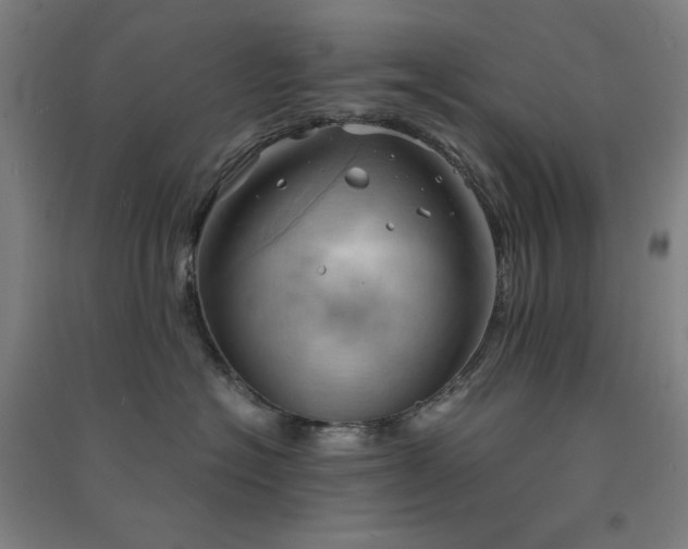 X0000091570574200708201148