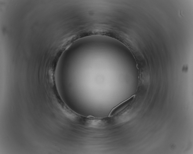 X0000091570575200708201148