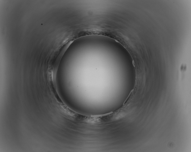 X0000091570576200708201148
