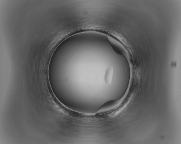 X0000091570577200708201147