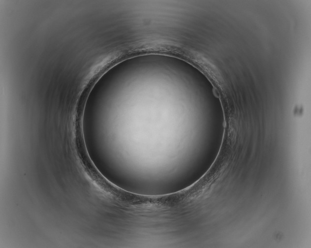 X0000091570578200708201147