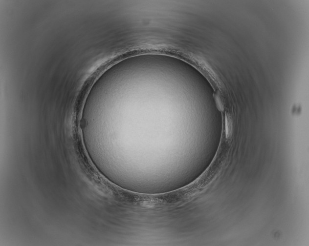X0000091570579200708201147