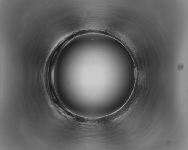 X0000091570580200708201147