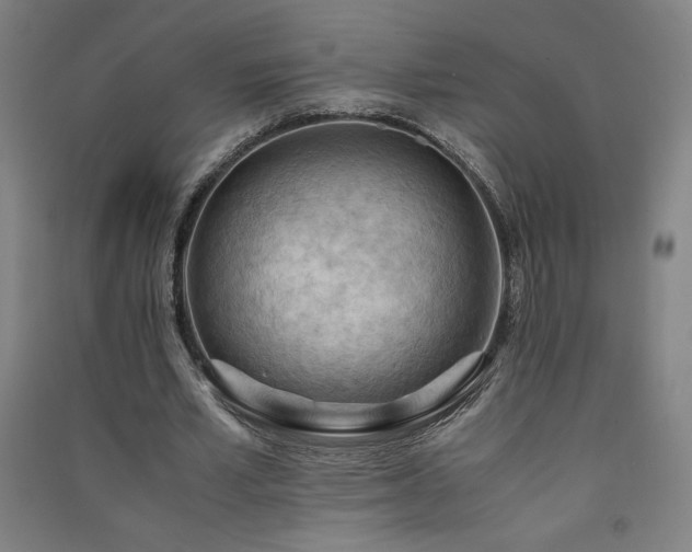 X0000091570581200708201147