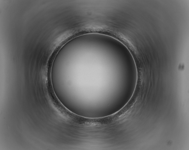 X0000091570582200708201147