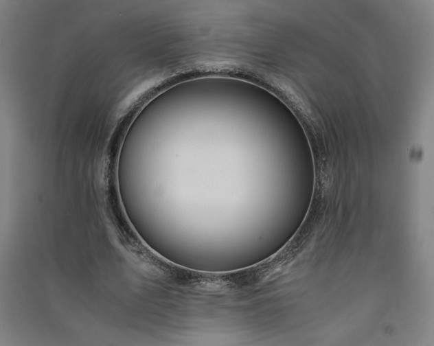 X0000091570583200708201147